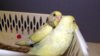 DSCF8418.JPG