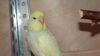 DSC00321.JPG