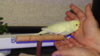 DSC00784.JPG