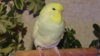 DSC00798.JPG