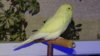 DSC00802.JPG
