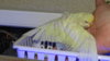 DSC00807.JPG