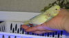 DSC00808.JPG