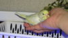 DSC00812.JPG