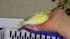 DSC00818.JPG
