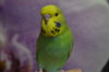 CSC_0484.JPG