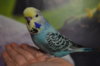 DSC_0532.JPG