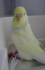DSC00874.JPG