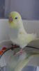 DSC00889.JPG