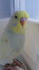 DSC00895.JPG