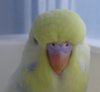 DSC00896.JPG