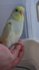 DSC00898.JPG