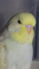 DSC00900.JPG