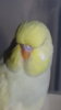 DSC00901.JPG