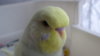 DSC00911.JPG