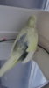 DSC00912.JPG