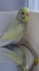 DSC00917.JPG