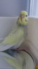 DSC00918.JPG