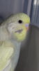 DSC00927.JPG