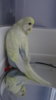 DSC00929.JPG