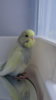 DSC00931.JPG