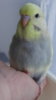 DSC00936.JPG