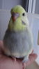 DSC00942.JPG