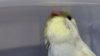 DSC00954.JPG
