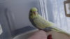 DSC00956.JPG
