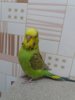 20191229_221619.jpg