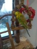 IMG-20200101-WA0009.jpg