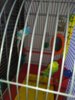 IMG_20200117_160834.jpg