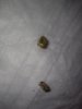 IMG_20200117_232051.jpg
