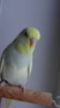DSC01108.JPG