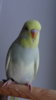 DSC01107.JPG