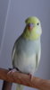 DSC01106.JPG