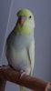 DSC01105.JPG