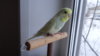 DSC01090.JPG