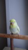 DSC01089.JPG