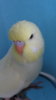 DSC01082.JPG