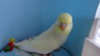 DSC01079.JPG
