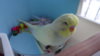 DSC01074.JPG