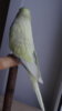 DSC01064.JPG