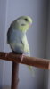 DSC01061.JPG