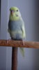 DSC01060.JPG