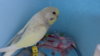 DSC01056.JPG