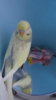 DSC01050.JPG