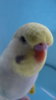 DSC01040.JPG