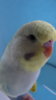 DSC01038.JPG