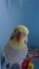 DSC01028.JPG